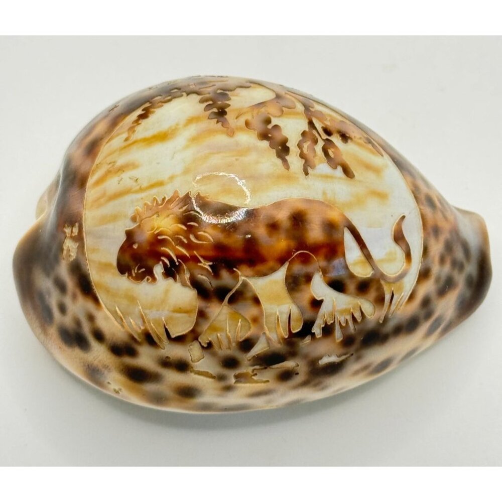 Vintage Souvenir Carved Spotted Cowrie Shell With African Lion Motif